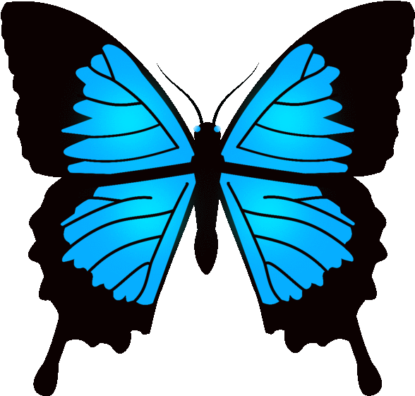 Animated Images Of But - Blue Butterfly (610x589)