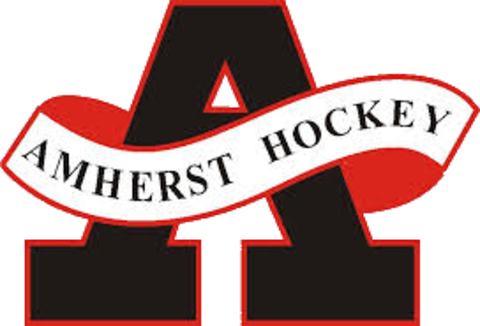 Amherst Knights Logo - Amherst Youth Hockey (480x326)