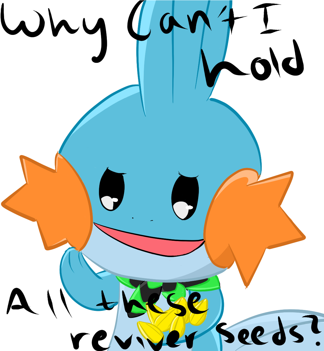 Me, Playing Pokemon Super Mystery Dungeon - Mudkip (1131x1206)
