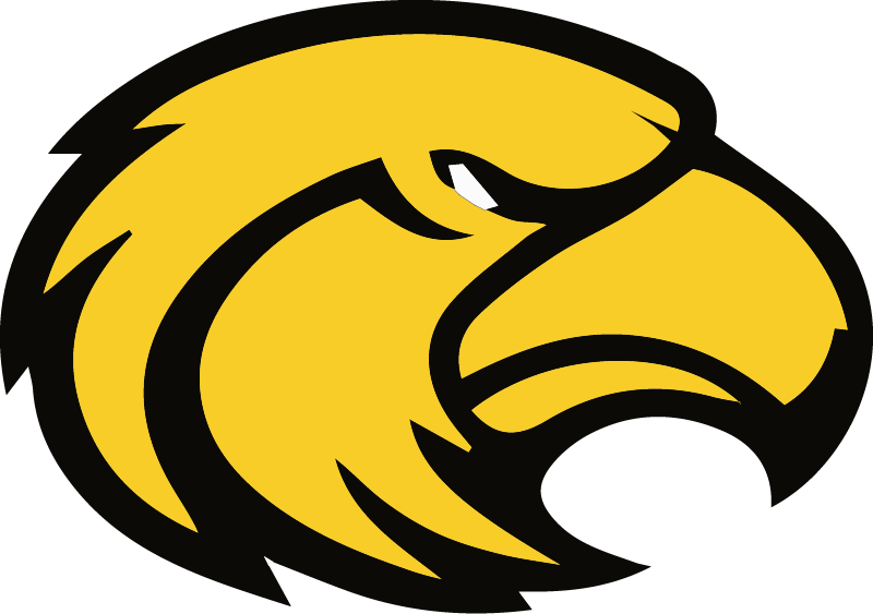 Southern Miss Golden Eagles Logo (800x563)