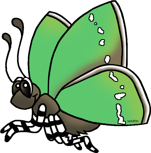 Sheridan's Green Hairstreak Butterfly - Sheridan's Green Hairstreak Butterfly Drawing (648x639)
