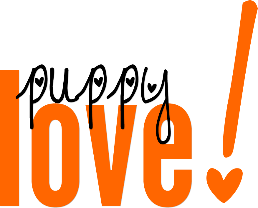 Puppy Love - Puppy Love (960x720)