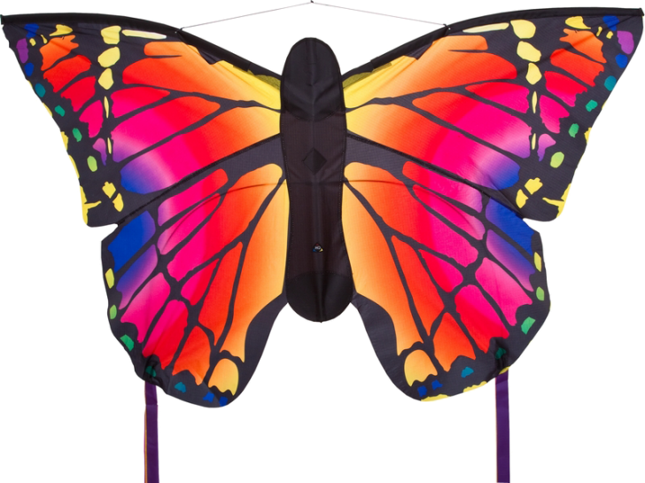 Butterfly Kite - Ruby - Butterfly Kite (728x545)