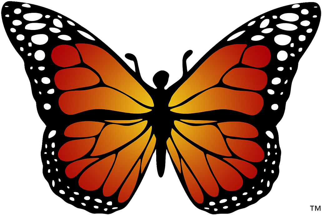 Click The - Monarch Butterfly Coloring Page (1050x736)