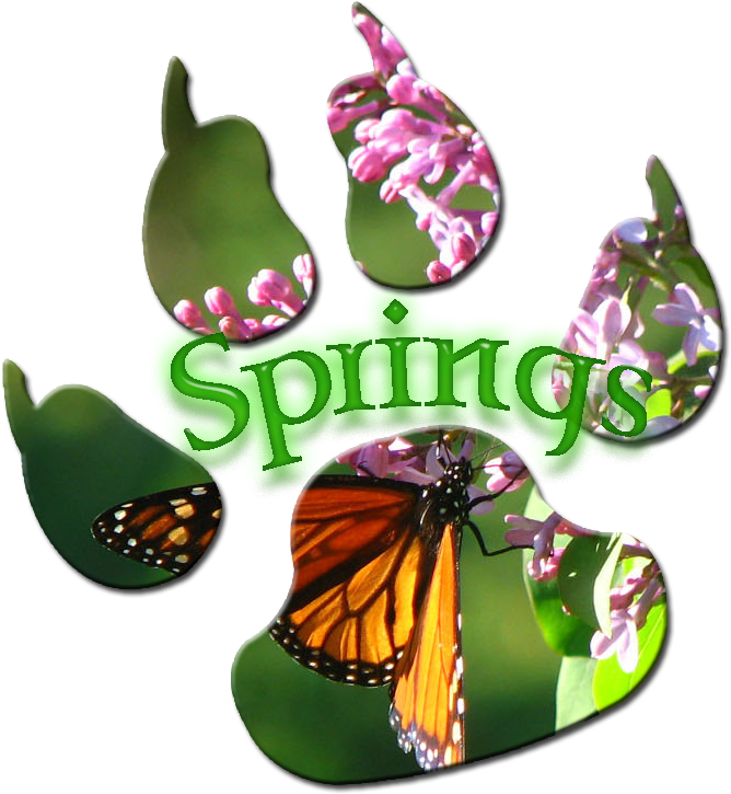 Spring Paw Print By Ariasnow - Spring Season (716x774)