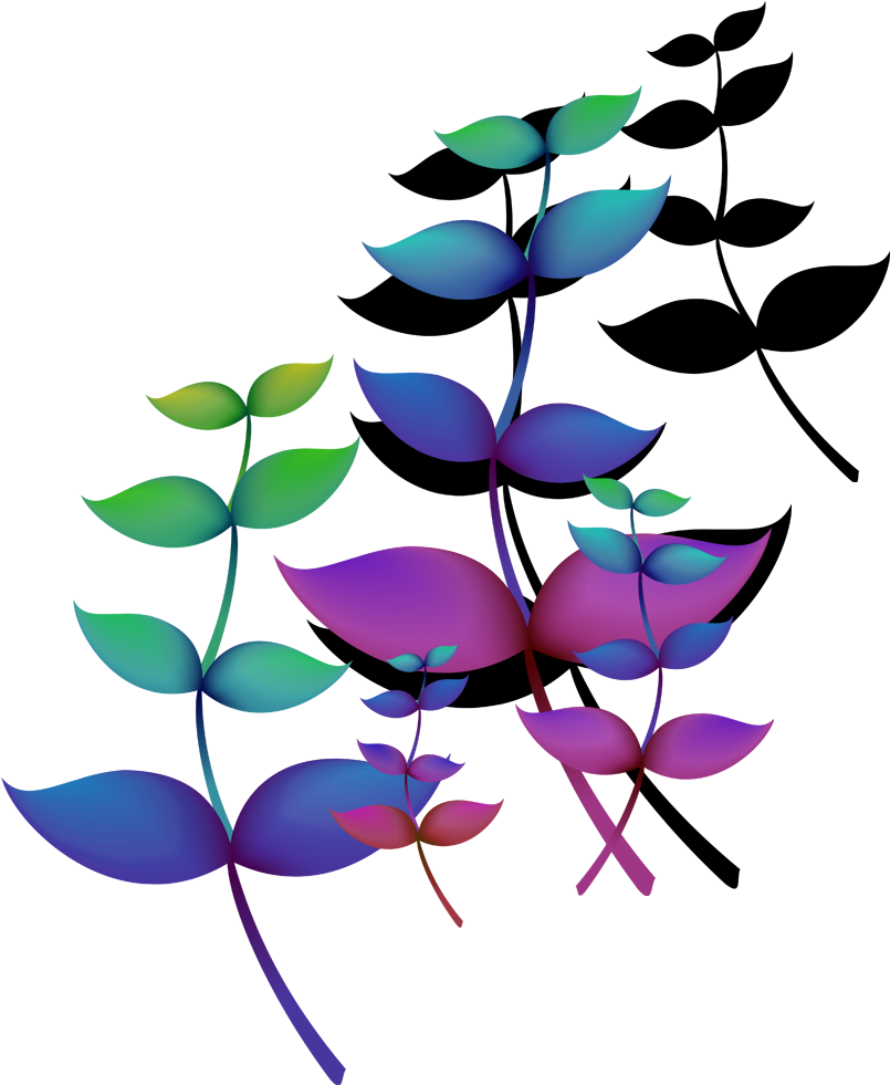 Flowery Branch Light Clip Art - Rosa Glauca (1181x1181)