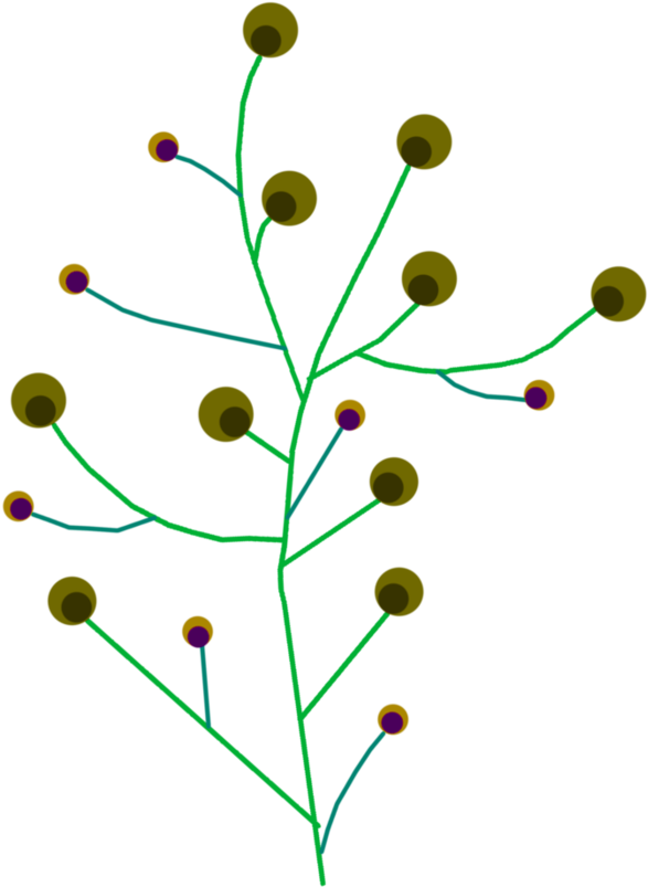 Floral Branch Clipart By Cinnamoncoffeestudio - Twig (894x894)