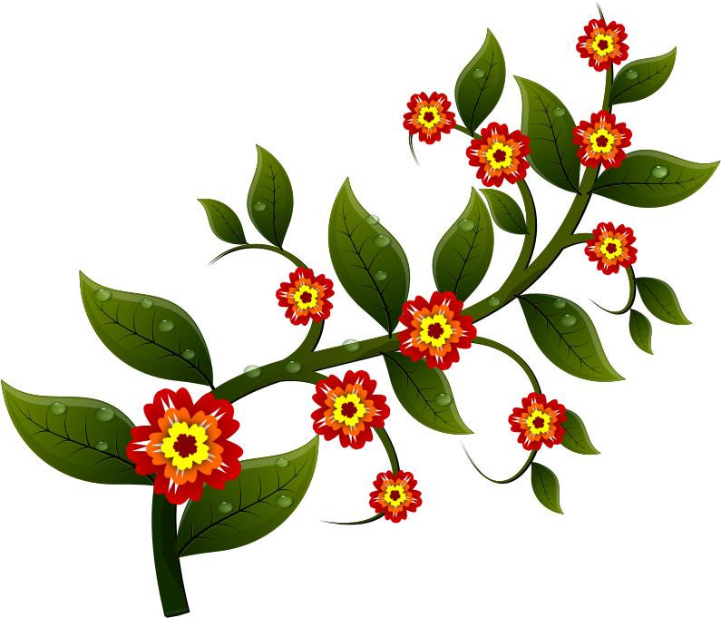 Medium Image - Flowers On A Branch. (800x1131)