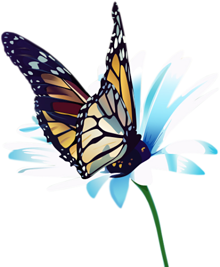 Un Monde Tout En Couleurs - Butterfly (476x549)