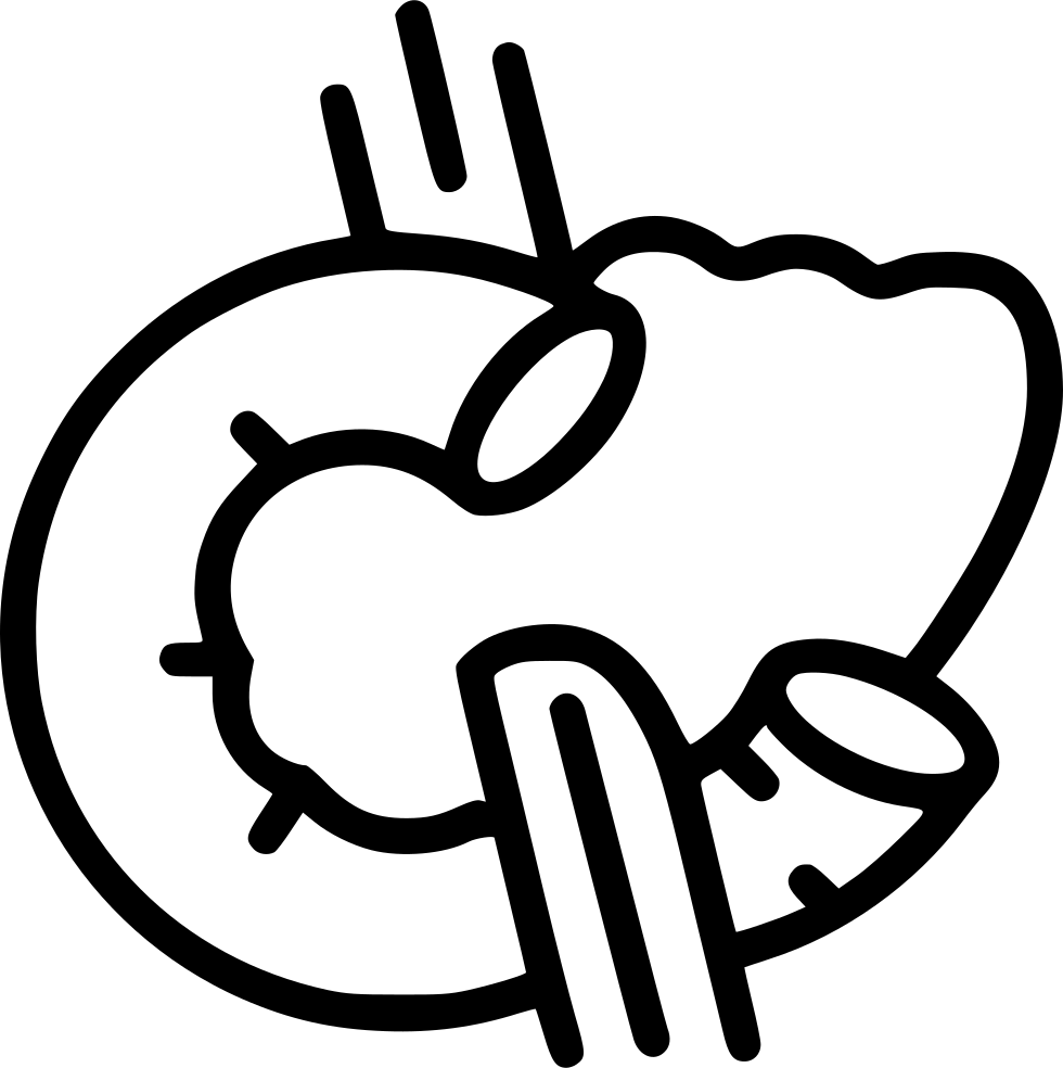 Png File - Pancreas (980x984)