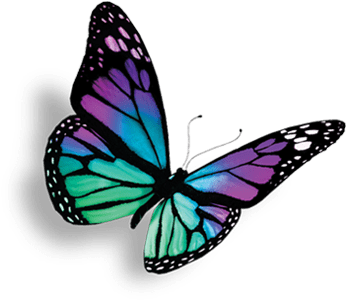 Hypnomorphose Ausbildung - Heal Breast Cancer Naturally 7 Essential Steps (350x350)