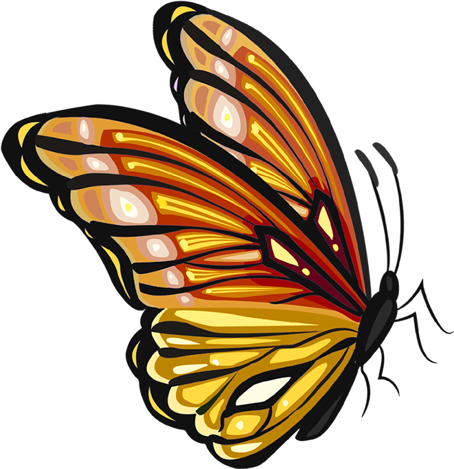 蝴蝶 - Mariposa De Lado Png (1000x1000)