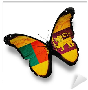 Sri Lanka Flag Butterfly, Isolated On White Wall Mural - St Lucia Independence Day 2018 (400x400)
