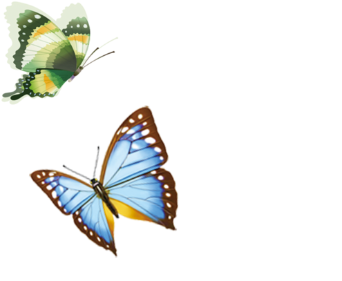 Mariposa - Mariposa Volando - Brooch Bird Coaster Holder Romantic Silver Roses (658x658)