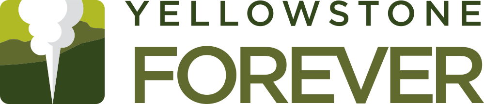 Download - Yellowstone Forever Logo (999x216)