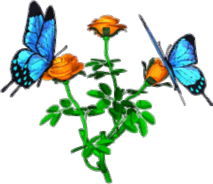 Please Join Us Clipart Free Clip Art Images Ndukio - Animated Butterfly And Flower Gif (800x629)