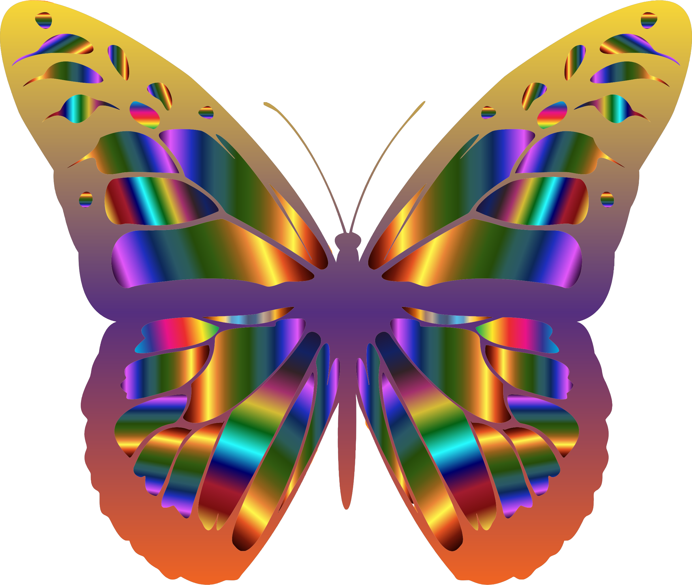 Monarch Butterfly 22 - Iridescent Monarch Butterfly 15 Hoodies & Sweatshirts (2400x2028)