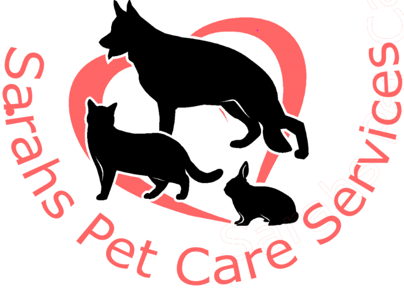 Sarah's Pet Care Services - Sarah’s Pet Care Services (800x571)