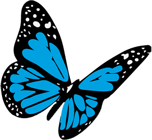 Cropped Butterfly Blue - 3d Butterfly Tattoo Drawing (512x512)