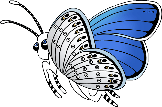 Karner Blue Butterfly - Short-tailed Blue (648x448)