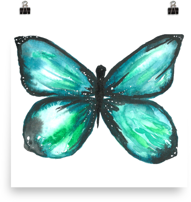 Green Butterfly Matte Paper Poster - Lycaenid (1000x1000)