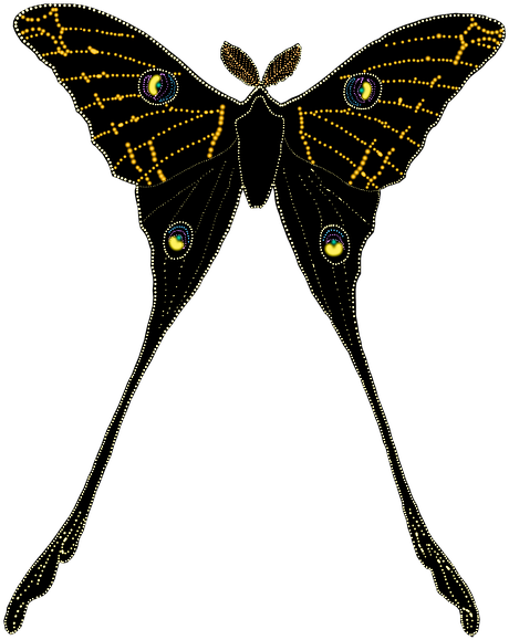 Animal, Butterfly, Insect, Isolated, Silhouette - Butterfly (640x640)