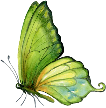 Artwall Sap Green Wall Mural Size: 36" H X 36" W X (600x600)