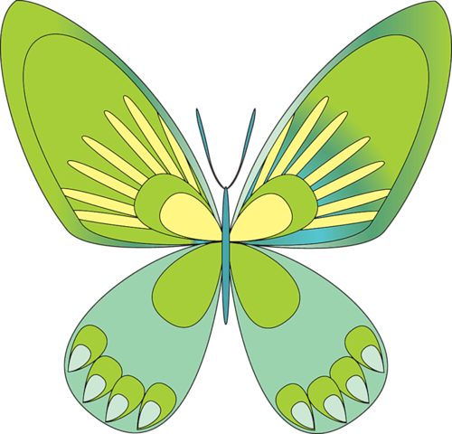 Green Butterflies - Png Бабочка Зеленый (500x480)