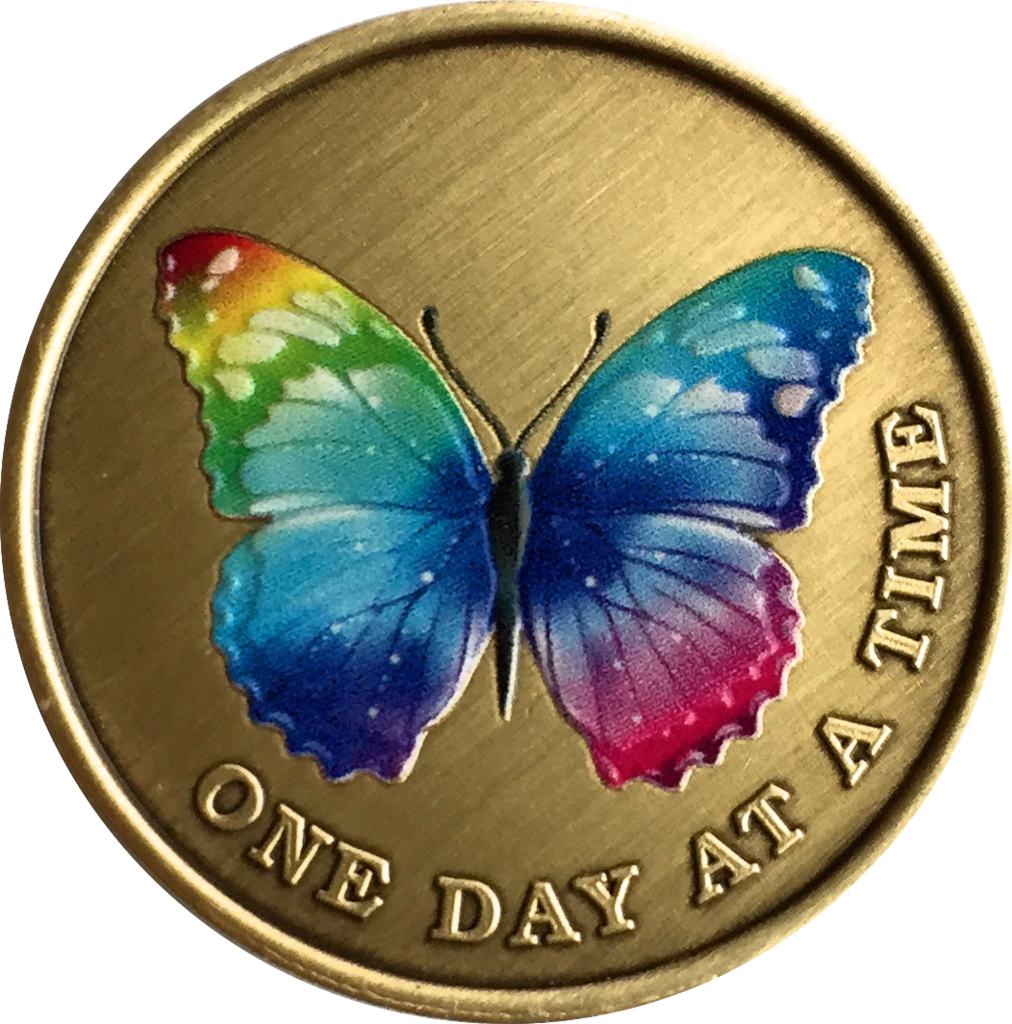 Color Rainbow Butterfly One Day At A Time Medallion - Color Rainbow Butterfly One Day At A Time Medallion (1012x1024)