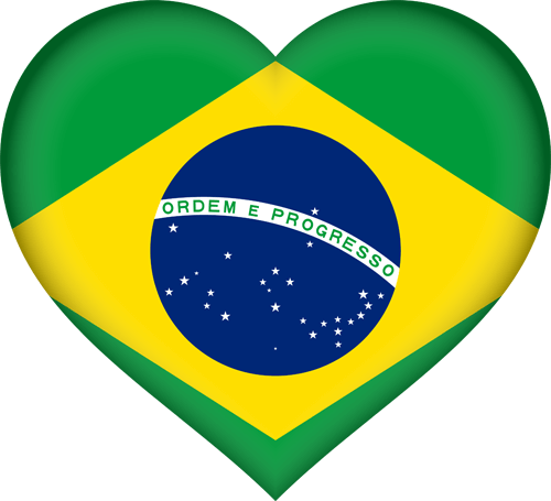 Brazil Flag Vector - Flag Of Brazil (500x455)