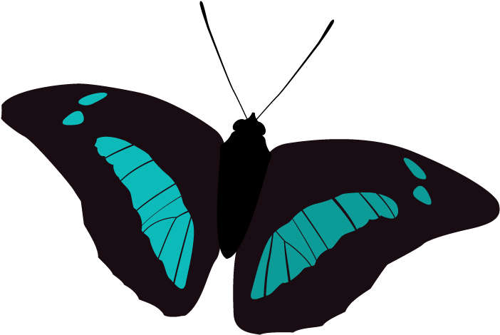 Blue Butterfly - Swallowtail Butterfly (800x600)