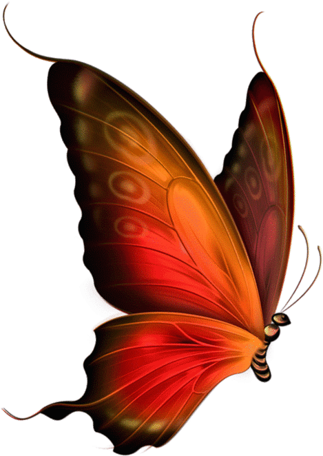 In The First Wash, Separate From Other Products - In The First Wash, Separate From Other Products (547x699)