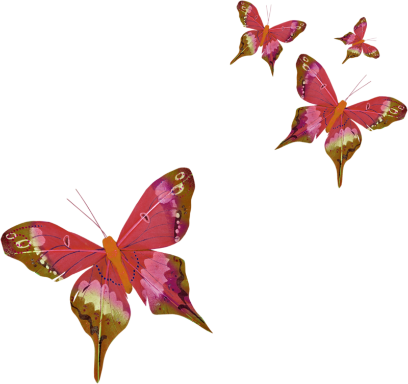 Volodifarfalle Volodifarfalle1 - Tubes Papillon Png (800x752)