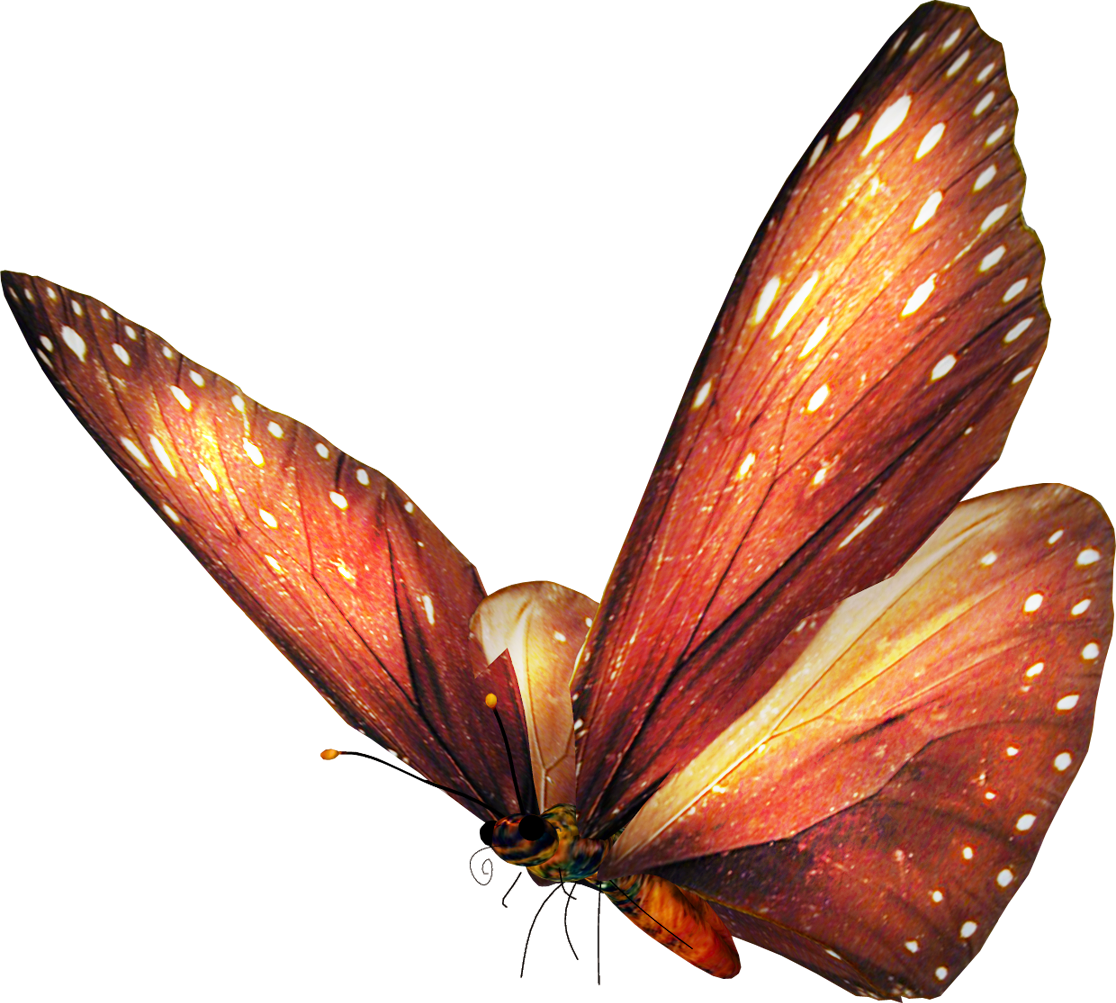 Imagenes De Mariposas Sin Fondo - Purple Butterfly Customized Rectangle Mousepad, Mouse (1116x1003)
