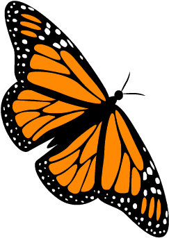 Ani-butterfly - Butterfly (400x400)