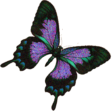 Glitter Butterfly Animation - Flag Of The Philippines (383x380)