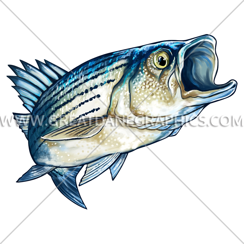 Wildlife - Striped Bass Trucker Hat (825x825)