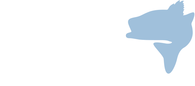 Striped Bass Magic - Striped Bass (683x304)