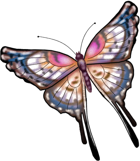 Ytr4zpno - Monarch Butterfly (498x532)