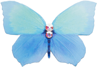 Butterfly Brooches - Butterfly (500x415)