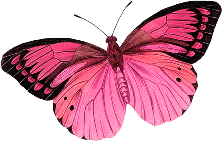 Butterfly Clipart Photo By - Purple Butterfly Tattoo Designs (750x500)