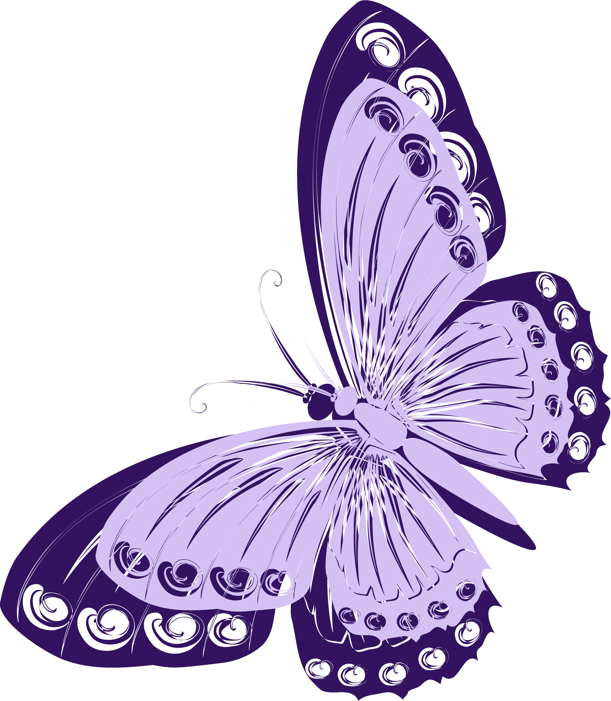 Фиолетовые бабочки картинки. Красивые бабочки на прозрачном фоне. Сиреневые бабочки. Бабочки на белом фоне. Сиреневый фон с бабочками.