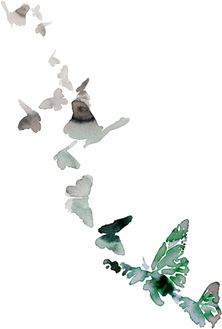 51 Pm On 3 August 18 ☆ 33,613 Notes - Watercolor Butterfly Flying (368x500)