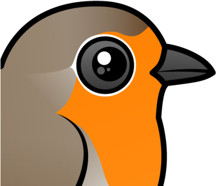 About The European Robin - Thorax (440x440)