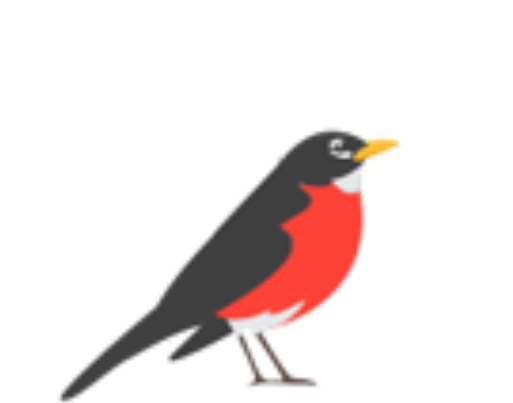 Download Png Image Report - American Robin (512x512)