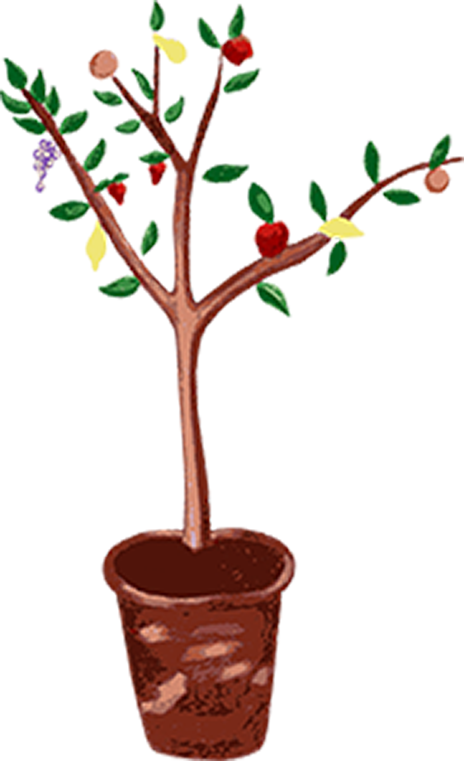 The Orchard - The Orchard (1556x2551)