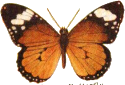 Vintage Clip Art Modern Bronze Artwork German French - Insects (443x297)