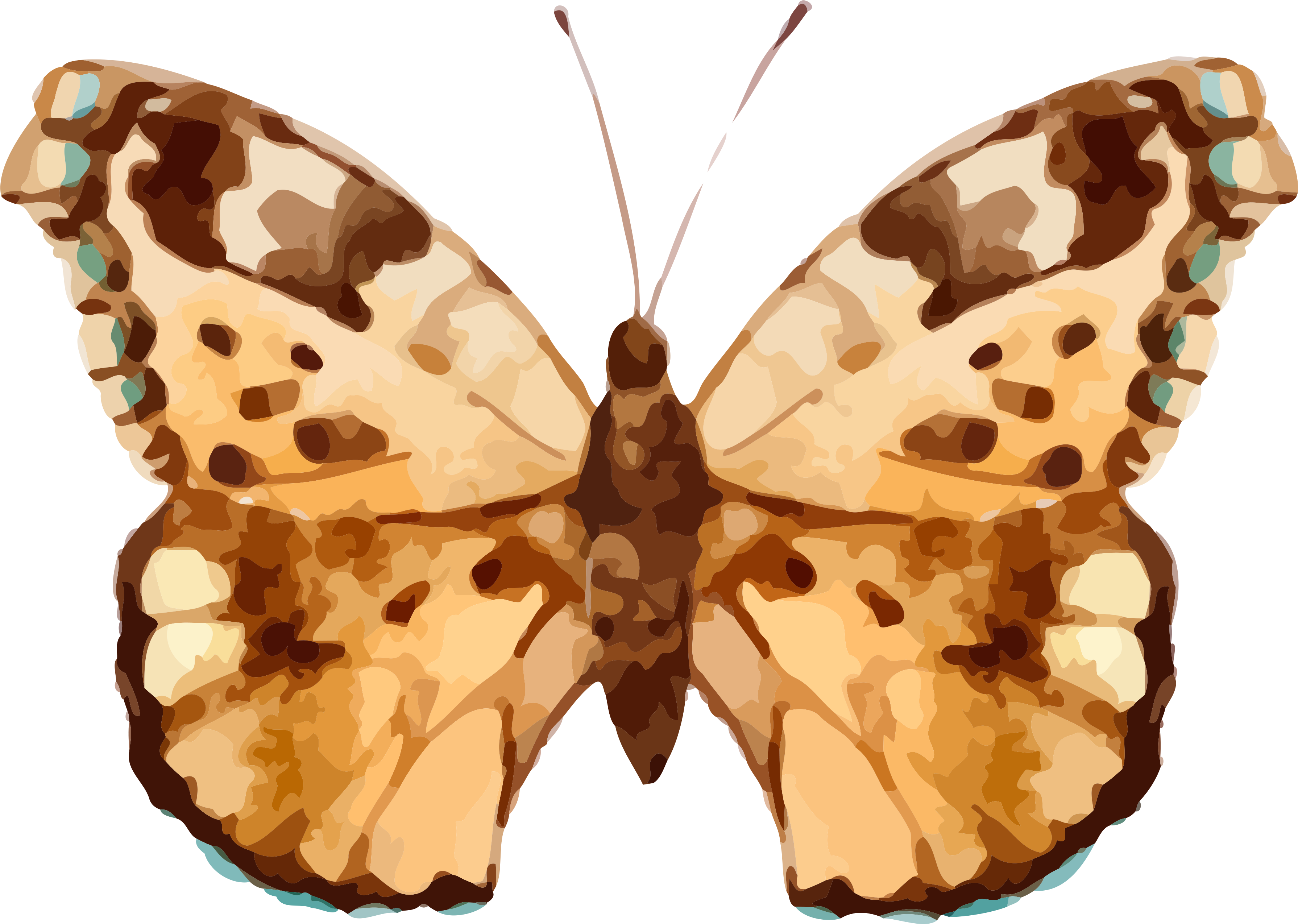 Real Butterfly Cliparts - Real Butterfly Cliparts (3600x2736)