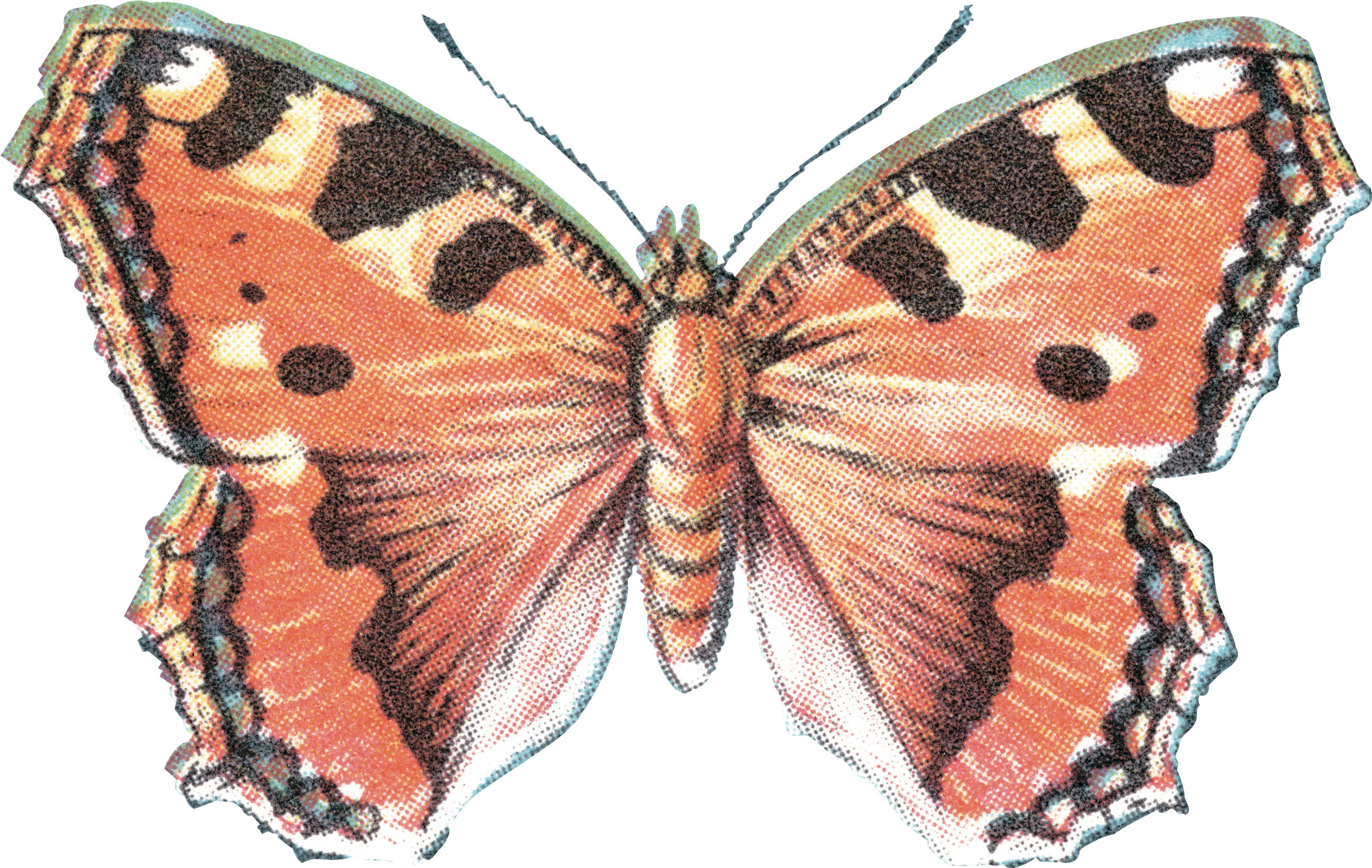 Character Education - Art Print: Pop Ink - Csa Images' Butterfly, 61x46cm. (3867x2898)