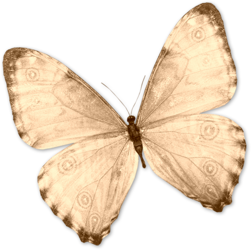 Your Challenge This Week Is To Create A Project Using - Long-tailed Blue (867x864)